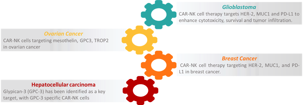 Figure 5. Target for CAR-NK Cell therapy in solid tumors