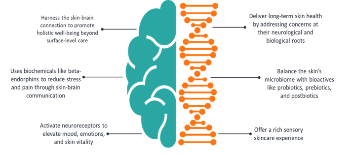 Figure 1: Benifits Of Neurocosmetics  