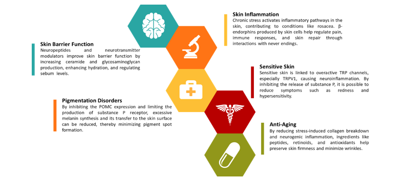 Figure 4. Neurocosmetics Addressing Key Skin Health Issues