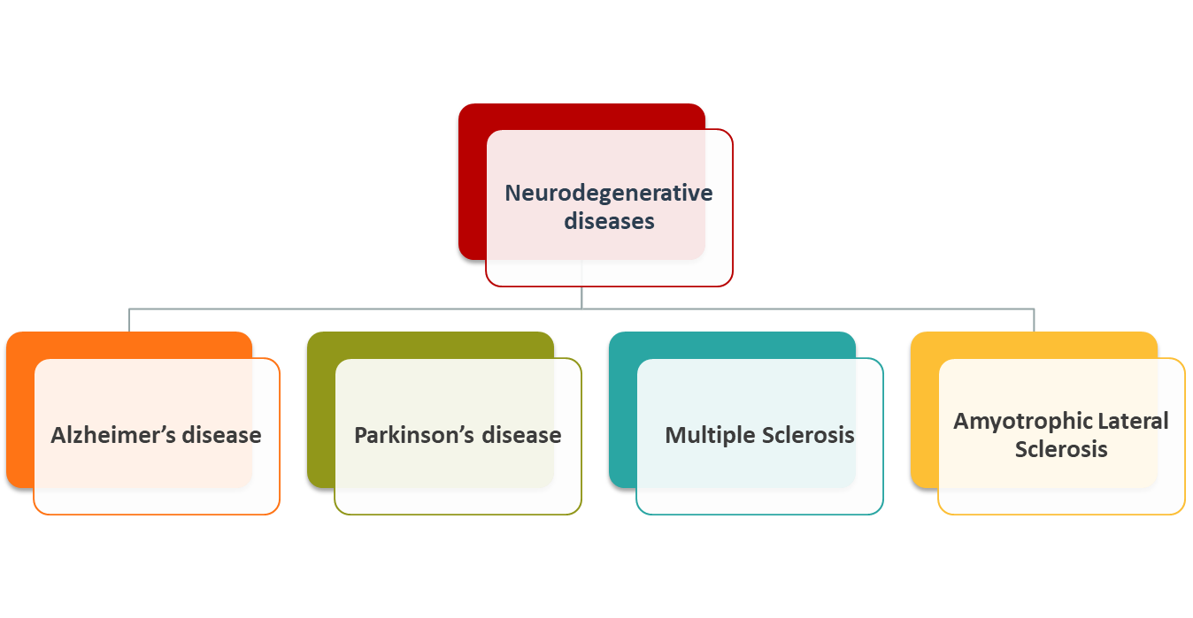 Figure 3: Types of neurodegenerative diseases